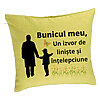 Perna Decorativa pentru Bunicul 6, 40x40 cm, Verde, Husa Detasabila, Burduf 7 Perna Decorativa pentru Bunicul 6
