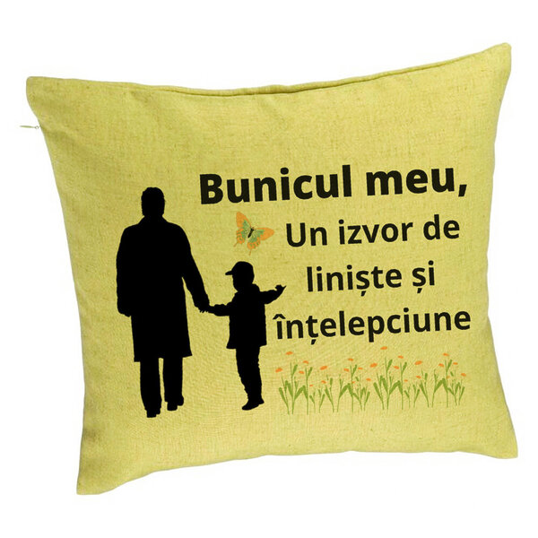 Perna Decorativa pentru Bunicul 6, 40x40 cm, Verde, Husa Detasabila, Burduf 5 Perna Decorativa pentru Bunicul 6