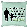 Perna Decorativa pentru Bunicul 6, 40x40 cm, Verde Menta, Husa Detasabila, Burduf 7 Perna Decorativa pentru Bunicul 6