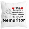 Perna Decorativa pentru Tata 4,40x40 cm, Alba, Mata, Husa Detasabila, Burduf 19 Perna Decorativa pentru Tata 4