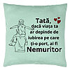 Perna Decorativacu Text pentru Tata 8, 40x40 cm, Verde Menta, Husa Detasabila, Burduf 22 Perna Decorativacu Text pentru Tata 8
