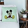 Perna Decorativa, Model copii Mickey Mouse, 40x40 cm, Verde Menta, Husa Detasabila, Burduf 26 bsC0176 PhotoRoom 3