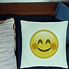Perna Decorativa, Model Emoji Rusinos, 40x40 cm, Verde Menta, Husa Detasabila, Burduf 24 bsC0217 PhotoRoom 1