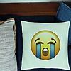 Perna Decorativa, Model Emoji Cry, 40x40 cm, Verde Menta, Husa Detasabila, Burduf 24 bsC0219 PhotoRoom 1