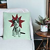 Perna Decorativa, Model Super Cat, 40x40 cm, Verde Menta, Husa Detasabila, Burduf 21 bsc0108 PhotoRoom 1