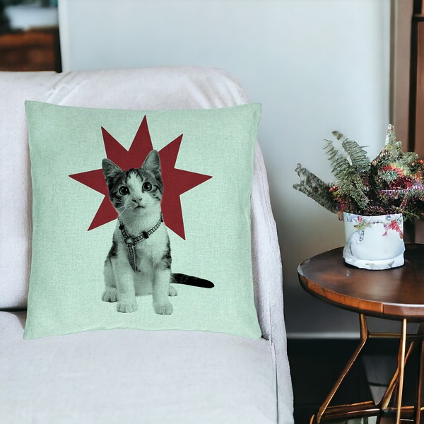 Perna Decorativa, Model Super Cat, 40x40 cm, Verde Menta, Husa Detasabila, Burduf 15 bsc0108 PhotoRoom 1