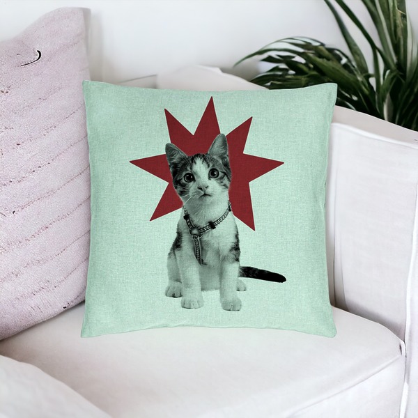 Perna Decorativa, Model Super Cat, 40x40 cm, Verde Menta, Husa Detasabila, Burduf 16 bsc0108 PhotoRoom 3