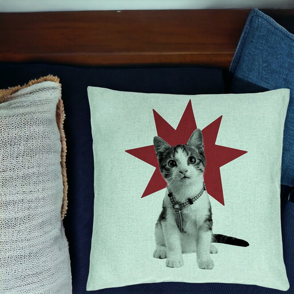 Perna Decorativa, Model Super Cat, 40x40 cm, Verde Menta, Husa Detasabila, Burduf 17 bsc0108 PhotoRoom 4