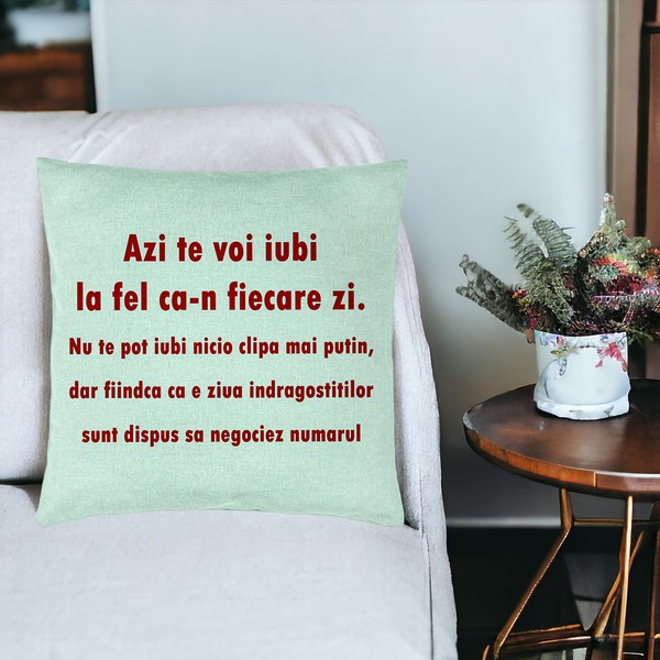 Perna Decorativa, Model Ziua Indragostitilor, 40x40 cm, Verde Menta, Husa Detasabila, Burduf 18 bsc0230 PhotoRoom 2