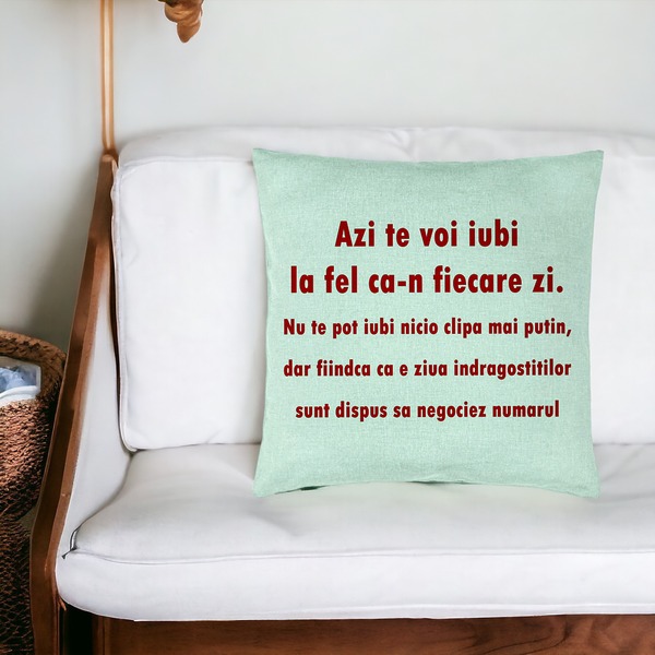 Perna Decorativa, Model Ziua Indragostitilor, 40x40 cm, Verde Menta, Husa Detasabila, Burduf 19 bsc0230 PhotoRoom 3