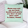 Perna Decorativa, Model Model Pentru Mama Te iubesc 6, 40x40 cm, Verde Menta, Husa Detasabila, Burduf 23 bsc0235 PhotoRoom