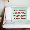 Perna Decorativa, Model Model Pentru Mama Te iubesc 6, 40x40 cm, Verde Menta, Husa Detasabila, Burduf 27 bsc0235 PhotoRoom 4