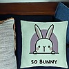 Perna Decorativa, Model So Bunny, 40x40 cm, Verde Menta, Husa Detasabila, Burduf 24 bsc0275 PhotoRoom 1