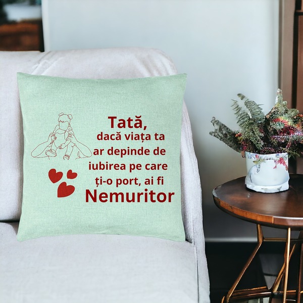 Perna Decorativa, Model pentru Tata 2, 40x40 cm, Verde Menta, Husa Detasabila, Burduf 19 bsc0365 PhotoRoom 3