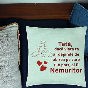 Alternative view of Perna Decorativa, Model pentru Tata 2, 40x40 cm, Verde Menta, Husa Detasabila, Burduf