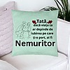 Perna Decorativa, Model pentru Tata 4, 40x40 cm, Verde Menta, Husa Detasabila, Burduf 24 bsc0367 PhotoRoom 1
