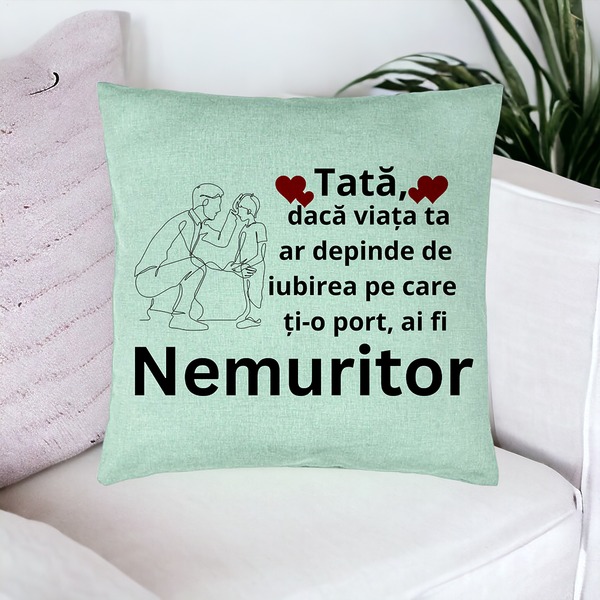 Perna Decorativa, Model pentru Tata 4, 40x40 cm, Verde Menta, Husa Detasabila, Burduf 17 bsc0367 PhotoRoom 1