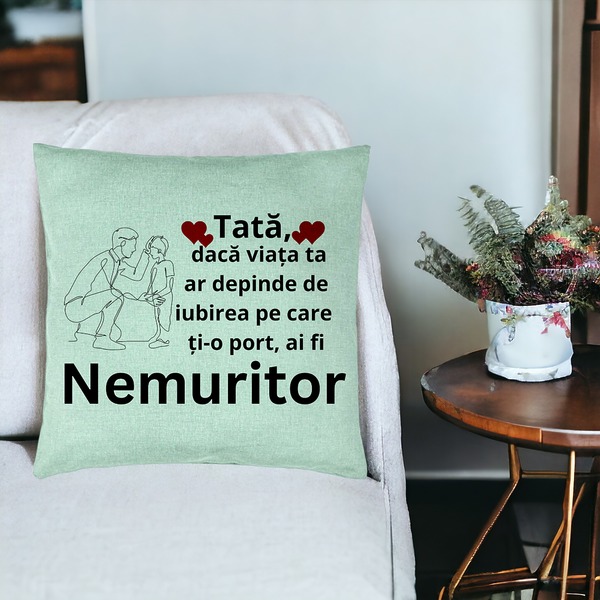 Perna Decorativa, Model pentru Tata 4, 40x40 cm, Verde Menta, Husa Detasabila, Burduf 19 bsc0367 PhotoRoom 3