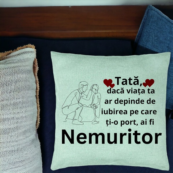 Perna Decorativa, Model pentru Tata 4, 40x40 cm, Verde Menta, Husa Detasabila, Burduf 16 bsc0367 PhotoRoom