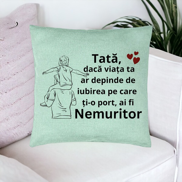 Perna Decorativacu Text pentru Tata 8, 40x40 cm, Verde Menta, Husa Detasabila, Burduf 17 bsc0369 PhotoRoom 1