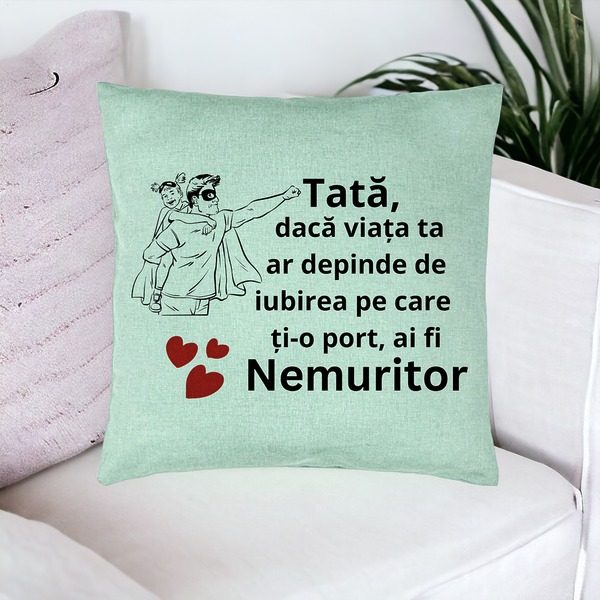 Perna Decorativa, Model pentru Tata 7, 40x40 cm, Verde Menta, Husa Detasabila, Burduf 17 bsc0370 PhotoRoom 1