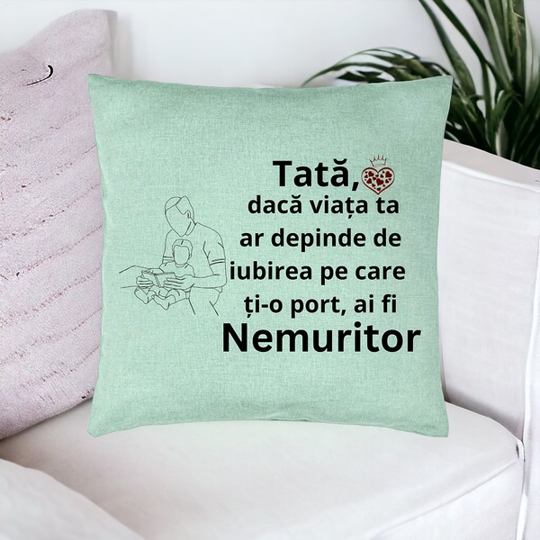 Perna Decorativa, Model pentru Tata 8, 40x40 cm, Verde Menta, Husa Detasabila, Burduf 17 bsc0371 PhotoRoom 1