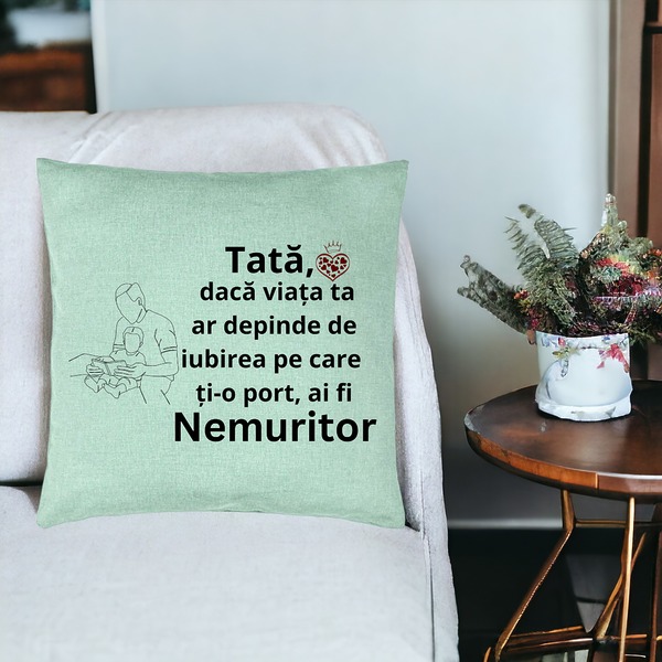 Perna Decorativa, Model pentru Tata 8, 40x40 cm, Verde Menta, Husa Detasabila, Burduf 19 bsc0371 PhotoRoom 3