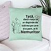 Perna Decorativa, Model pentru Tata 9, 40x40 cm, Verde Menta, Husa Detasabila, Burduf 24 bsc0372 PhotoRoom 1