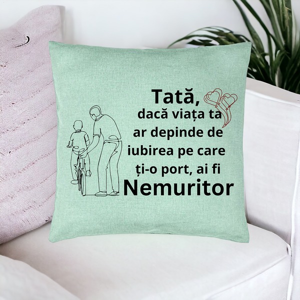 Perna Decorativa, Model pentru Tata 9, 40x40 cm, Verde Menta, Husa Detasabila, Burduf 17 bsc0372 PhotoRoom 1