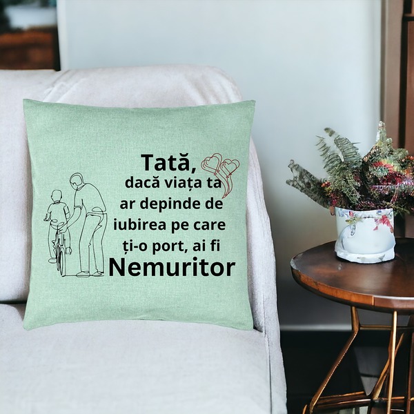 Perna Decorativa, Model pentru Tata 9, 40x40 cm, Verde Menta, Husa Detasabila, Burduf 19 bsc0372 PhotoRoom 3