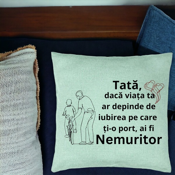 Perna Decorativa, Model pentru Tata 9, 40x40 cm, Verde Menta, Husa Detasabila, Burduf 16 bsc0372 PhotoRoom