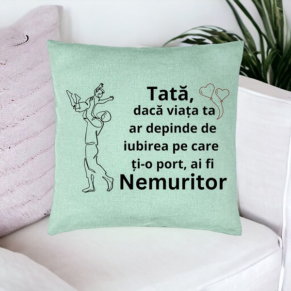 Perna Decorativa, Model pentru Tata 10, 40x40 cm, Verde Menta, Husa Detasabila, Burduf 17 bsc0373 PhotoRoom 1