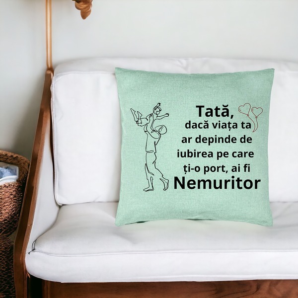 Perna Decorativa, Model pentru Tata 10, 40x40 cm, Verde Menta, Husa Detasabila, Burduf 18 bsc0373 PhotoRoom 2