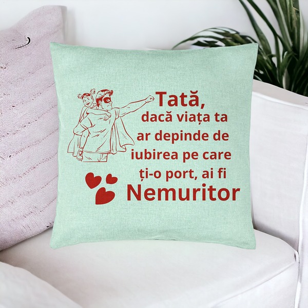 Perna Decorativa, Model pentru Tata 11, 40x40 cm, Verde Menta, Husa Detasabila, Burduf 17 bsc0374 PhotoRoom 1