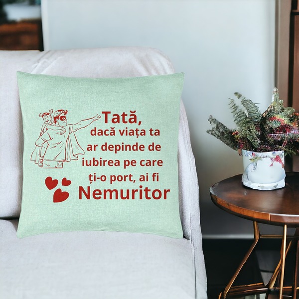 Perna Decorativa, Model pentru Tata 11, 40x40 cm, Verde Menta, Husa Detasabila, Burduf 19 bsc0374 PhotoRoom 3