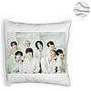 Perna Decorativa Fluffy , Stray Kids 10, 45×45 cm, Cu fermoar 8 1 0041 bspff0759