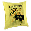 Perna Decorativa, Stray Kids 4, 40×40 cm, Verde, Husa Detasabila, Burduf 7 bpvrd0753