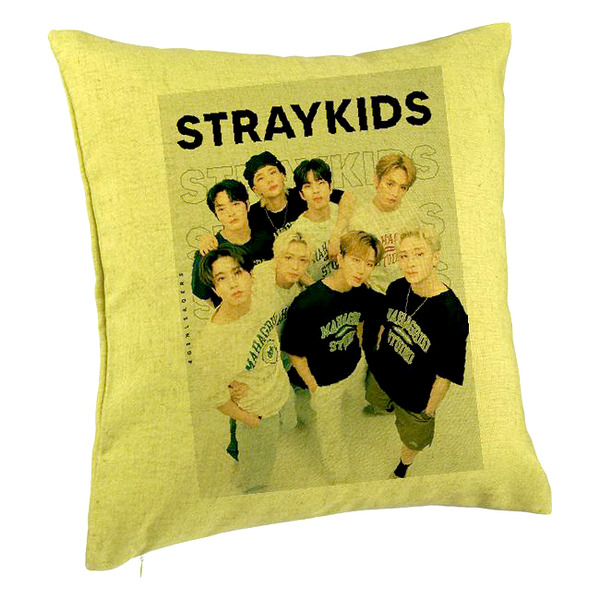 Perna Decorativa, Stray Kids 4, 40×40 cm, Verde, Husa Detasabila, Burduf 5 bpvrd0753