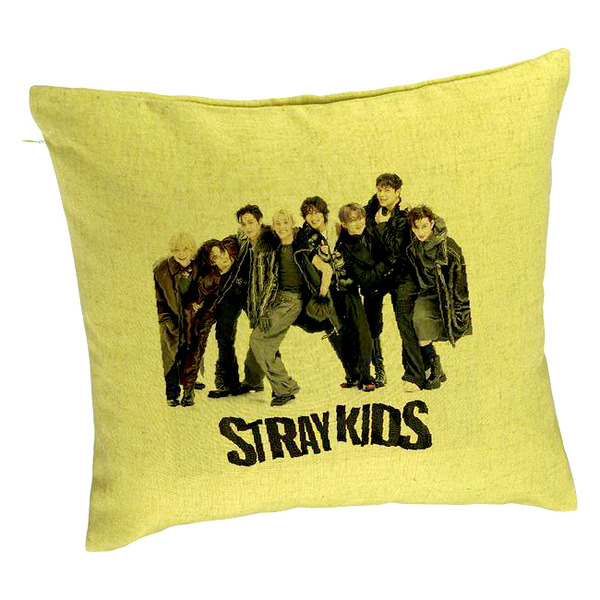 Perna Decorativa, Stray Kids 6, 40×40 cm, Verde, Husa Detasabila, Burduf 5 bpvrd0755