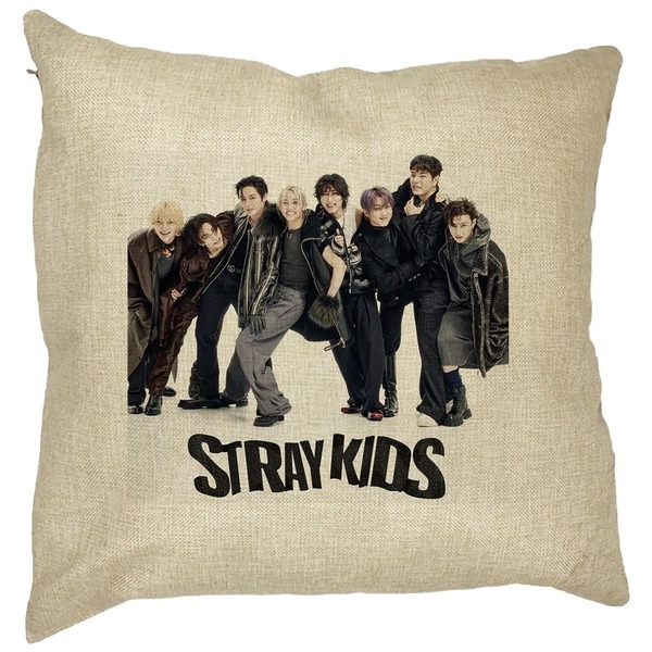 Perna Decorativa, Stray Kids 6, 40×40 cm, Husa Detasabila, Burduf 11 bsc0755 2 rotated e1741199606564