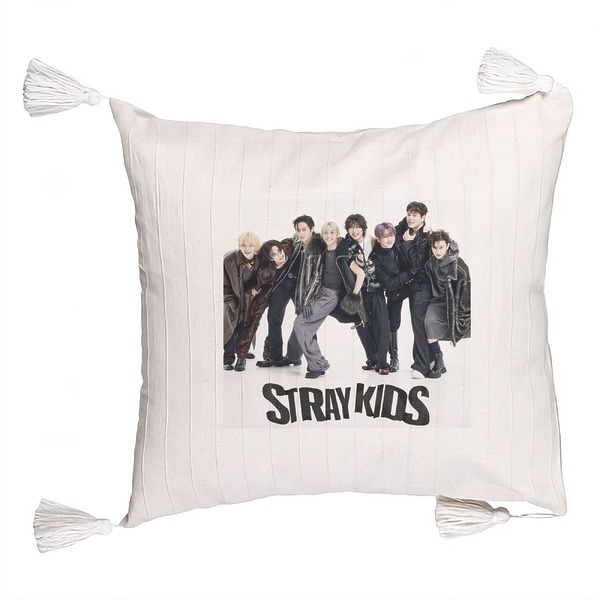Perna Decorativa cu Franjuri , Stray Kids 6, 45×45 cm, Cu fermoar 5 bsc0755 3 rotated e1741211593534