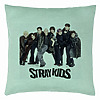 Perna Decorativa, Stray Kids 6, 40×40 cm, Verde Menta, Husa Detasabila, Burduf 7 bsc0755 5