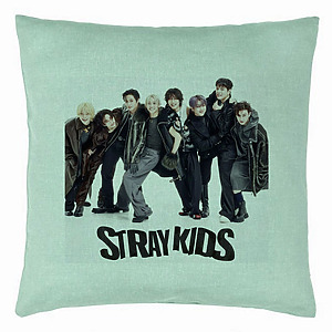 Perna Decorativa, Stray Kids 6, 40×40 cm, Verde Menta, Husa Detasabila, Burduf