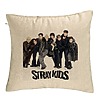 Perna Decorativa, Stray Kids 6, 40×40 cm, Bej, Husa Detasabila, Burduf 7 bsc0755 rotated e1740786775999